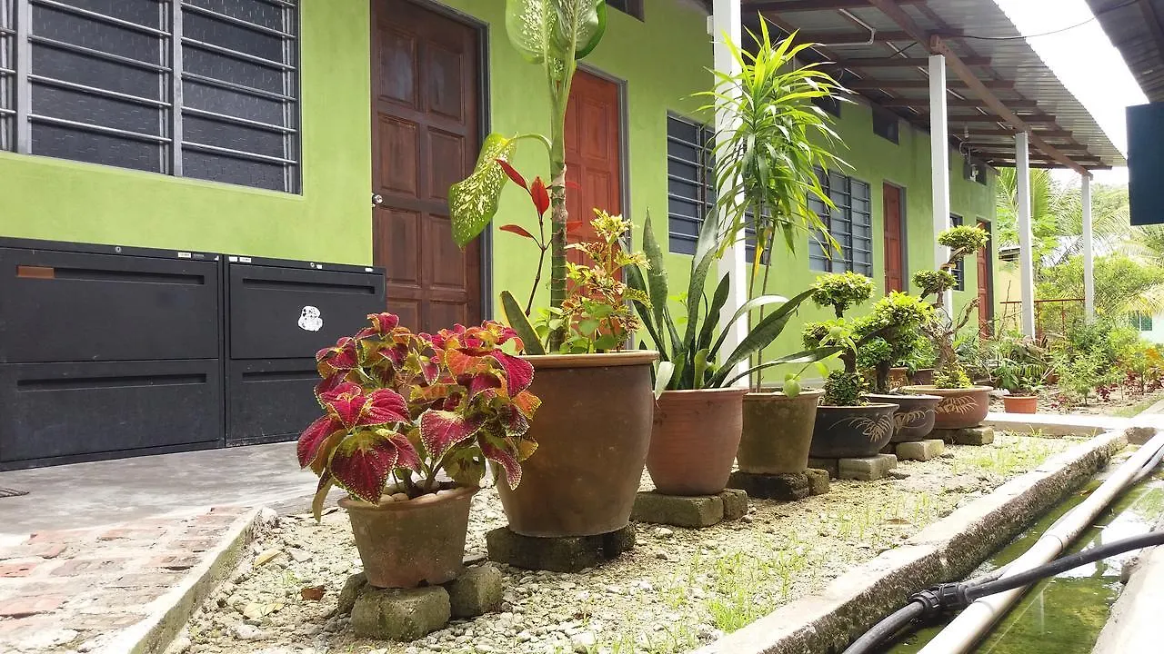 Tony'S Guesthouse At Teluk Bahang Batu Feringgi Malaysia